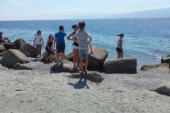 IMG-20160726-WA0017